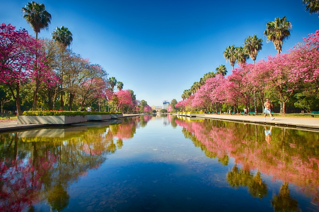 parque da redenção